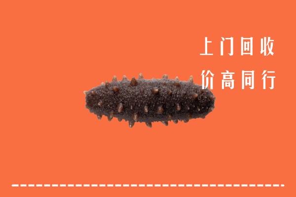 高价求购：延边州珲春回收海参