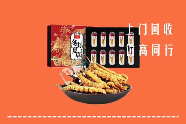延边州珲春高价回收虫草
